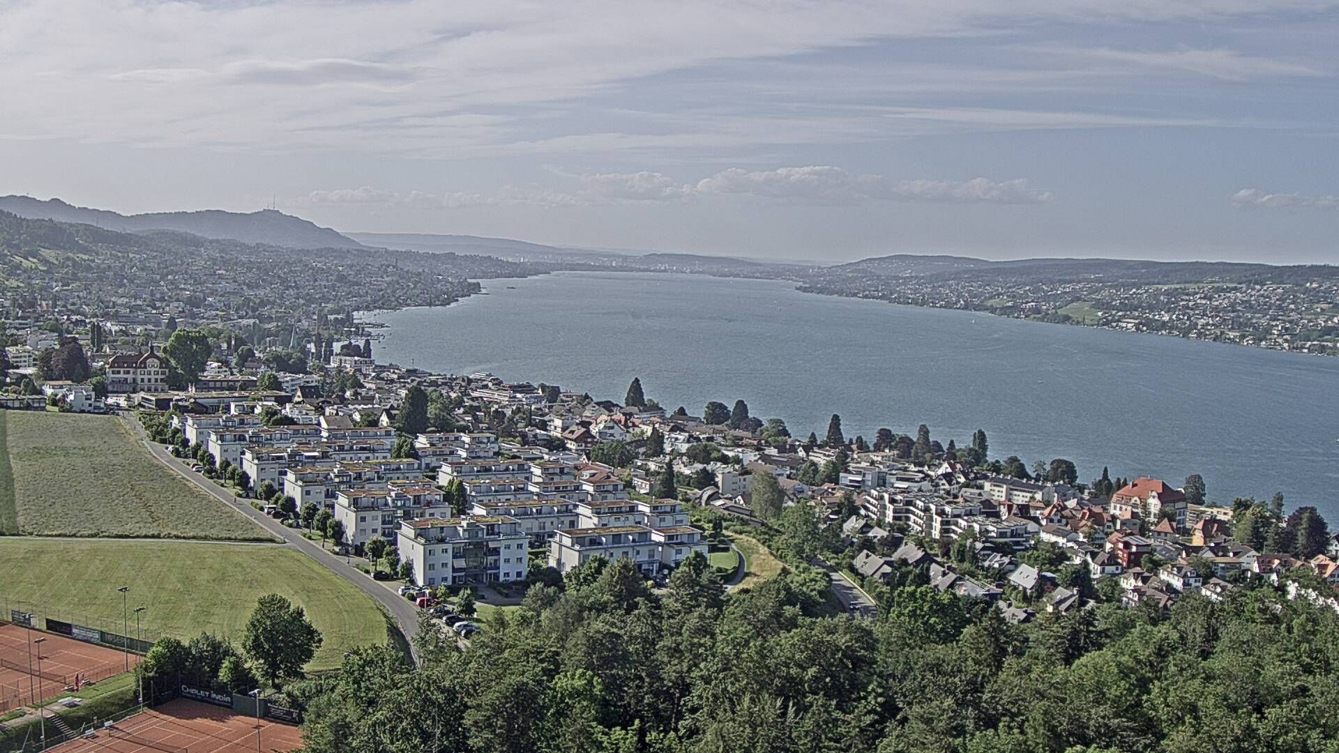 Horgen: Horgen, Reithy