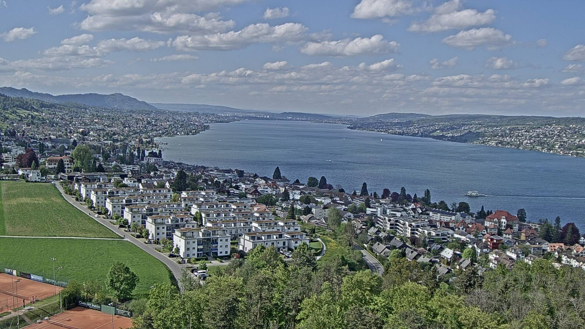 Horgen: Horgen, Reithy