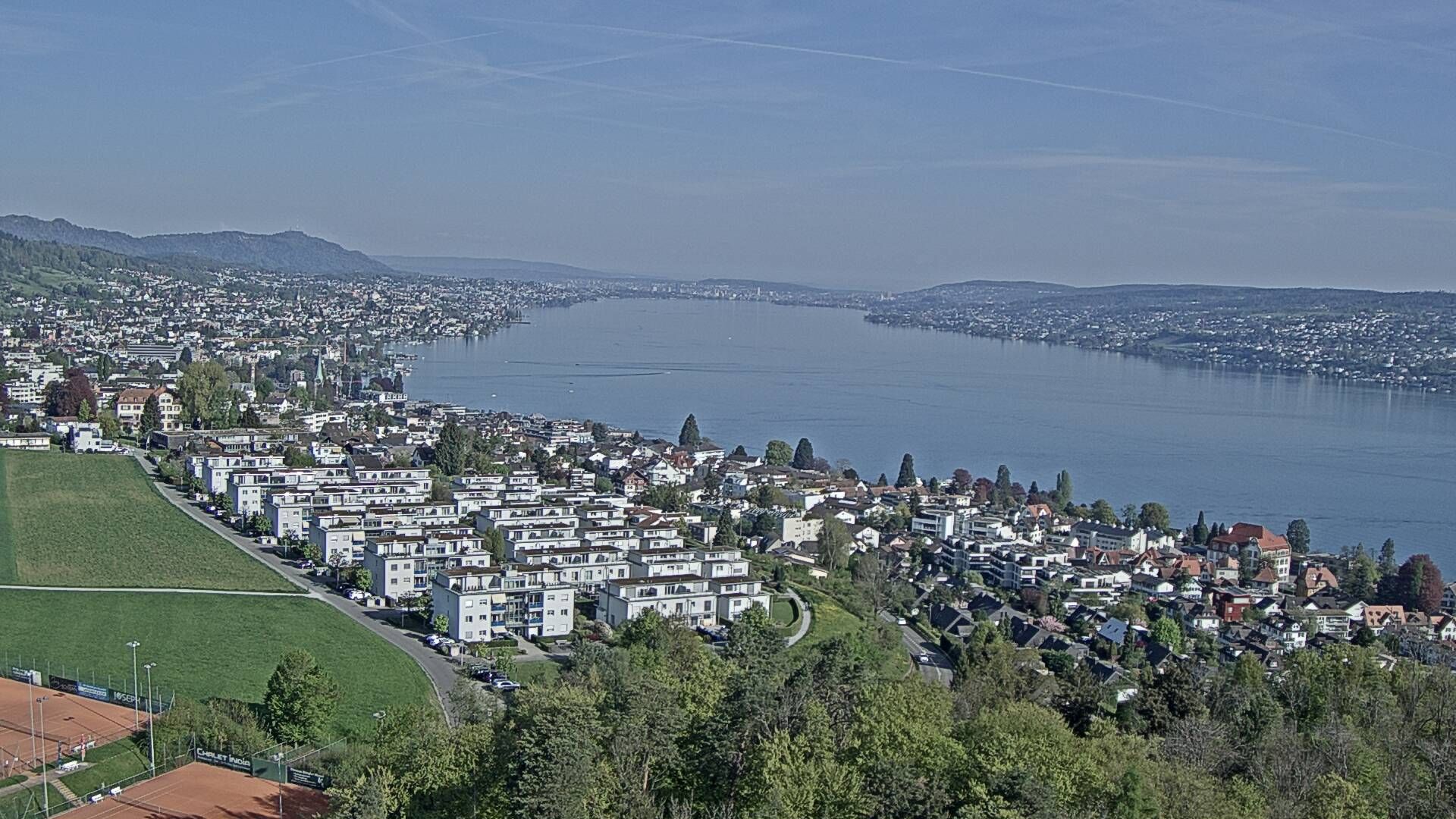 Horgen: Horgen, Reithy