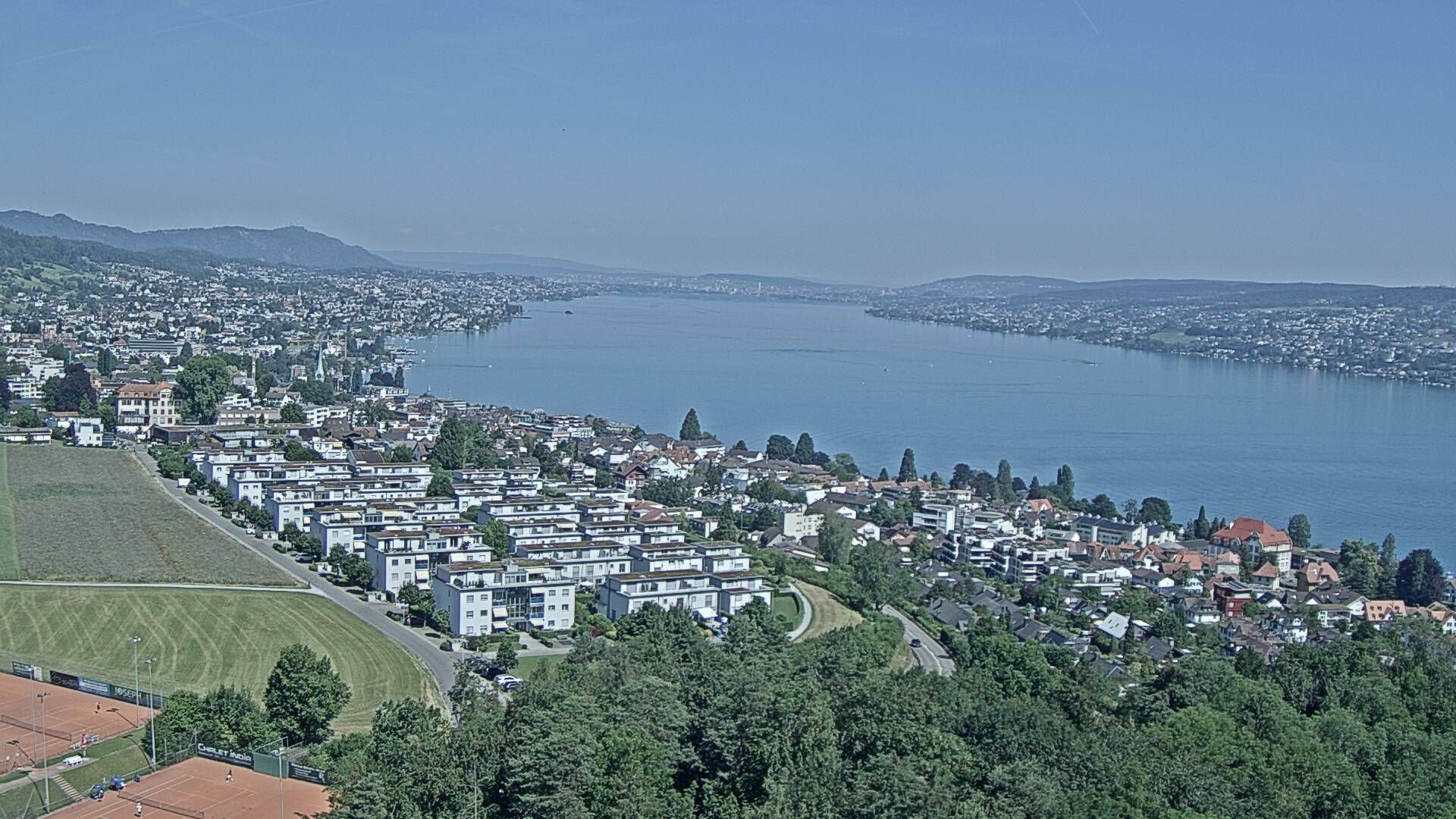 Horgen: Horgen, Reithy