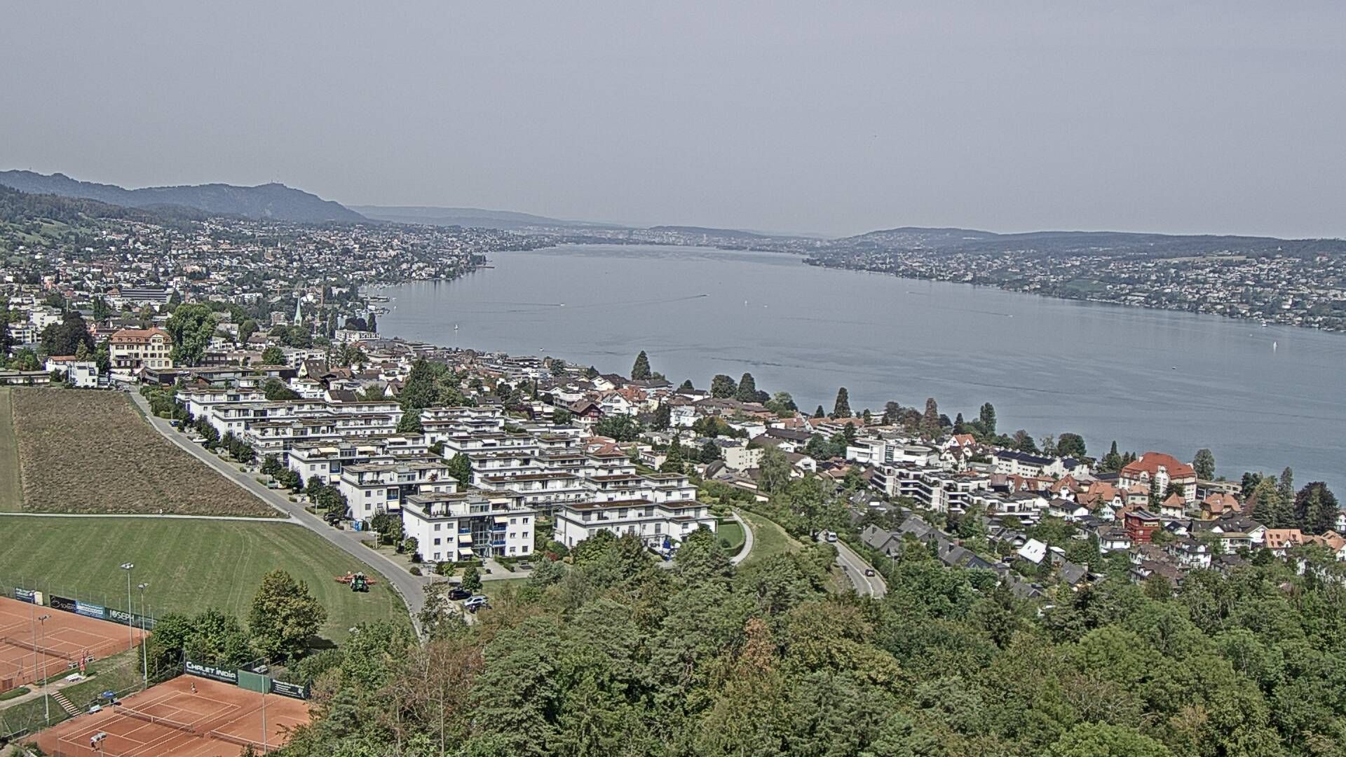 Horgen: Horgen, Reithy
