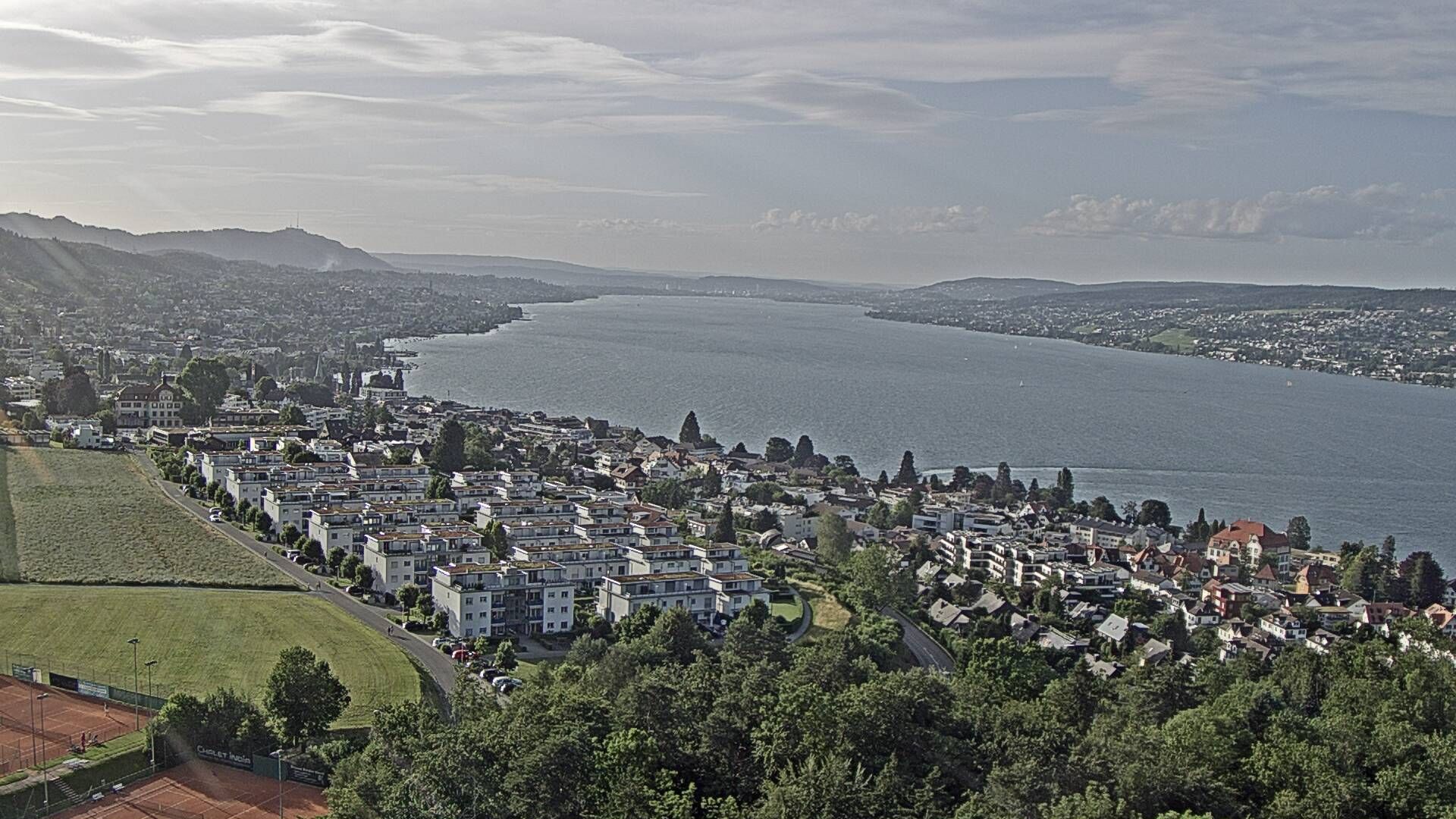 Horgen: Horgen, Reithy