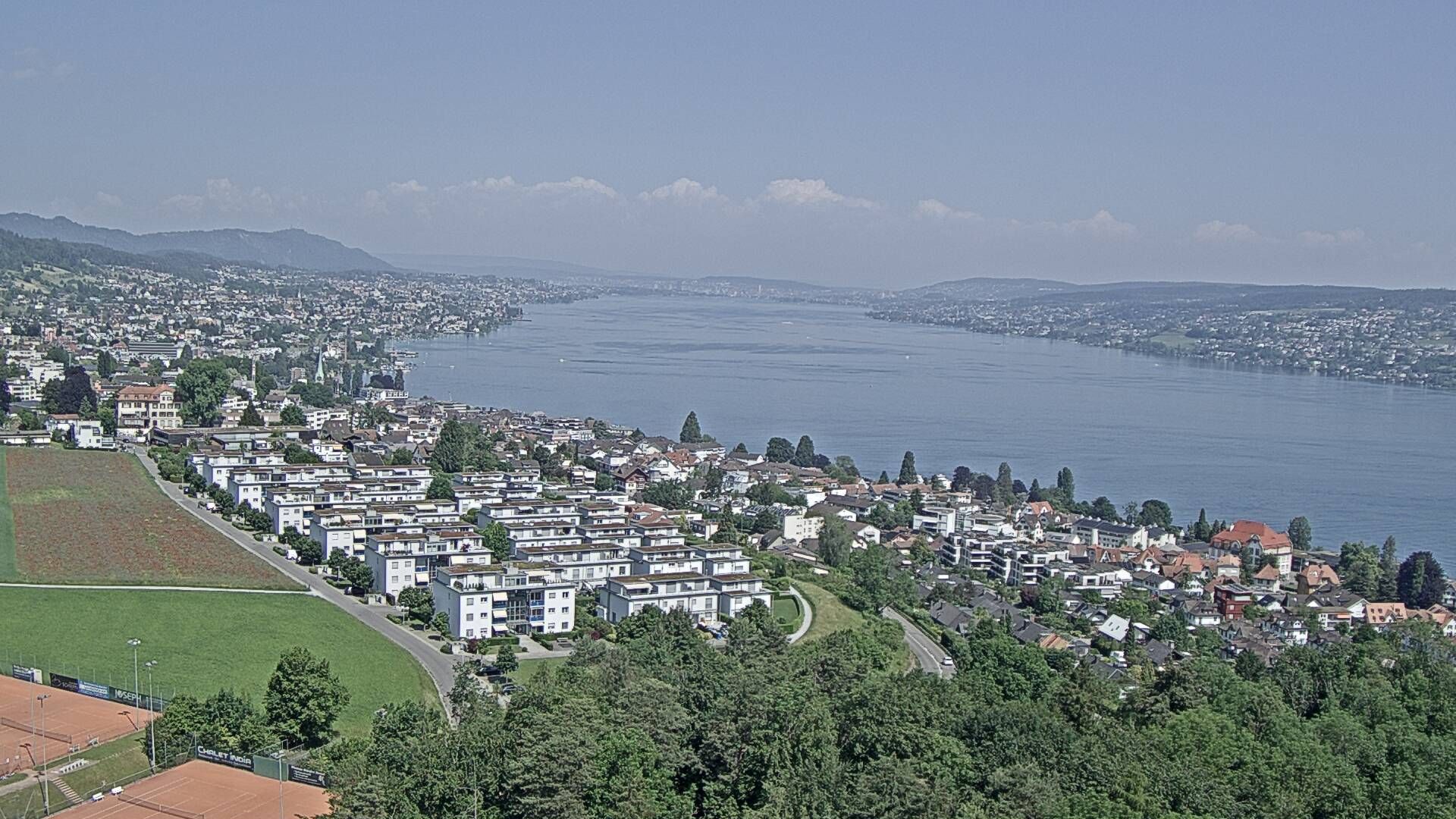 Horgen: Horgen, Reithy
