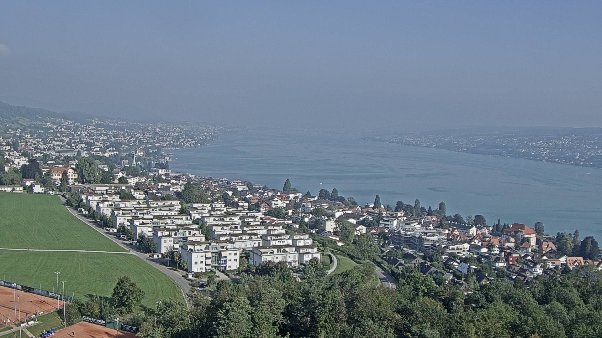 Horgen: Horgen, Reithy