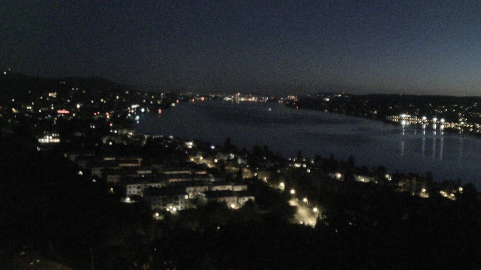 Horgen: Horgen, Reithy