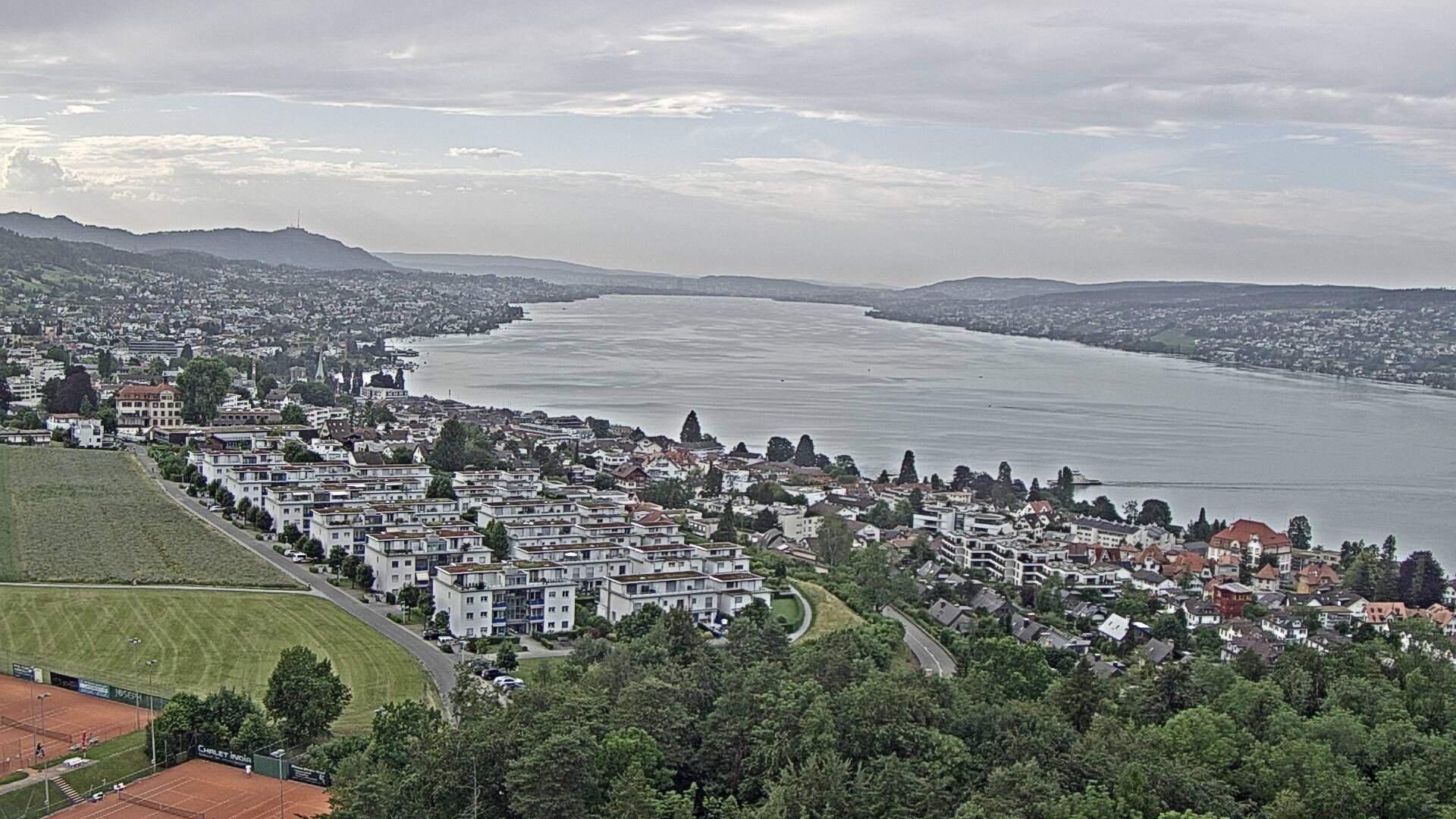 Horgen: Horgen, Reithy