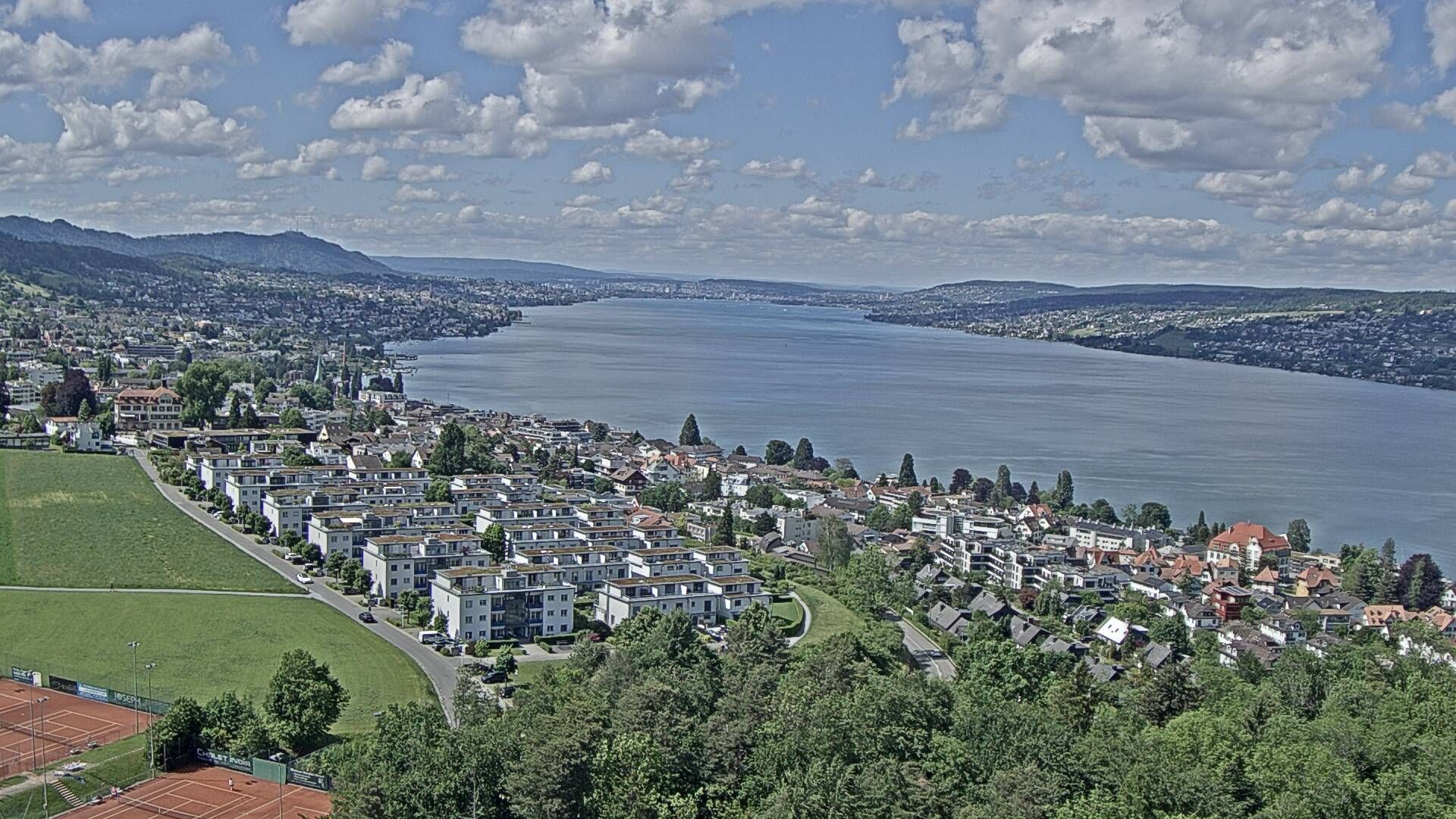 Horgen: Horgen, Reithy