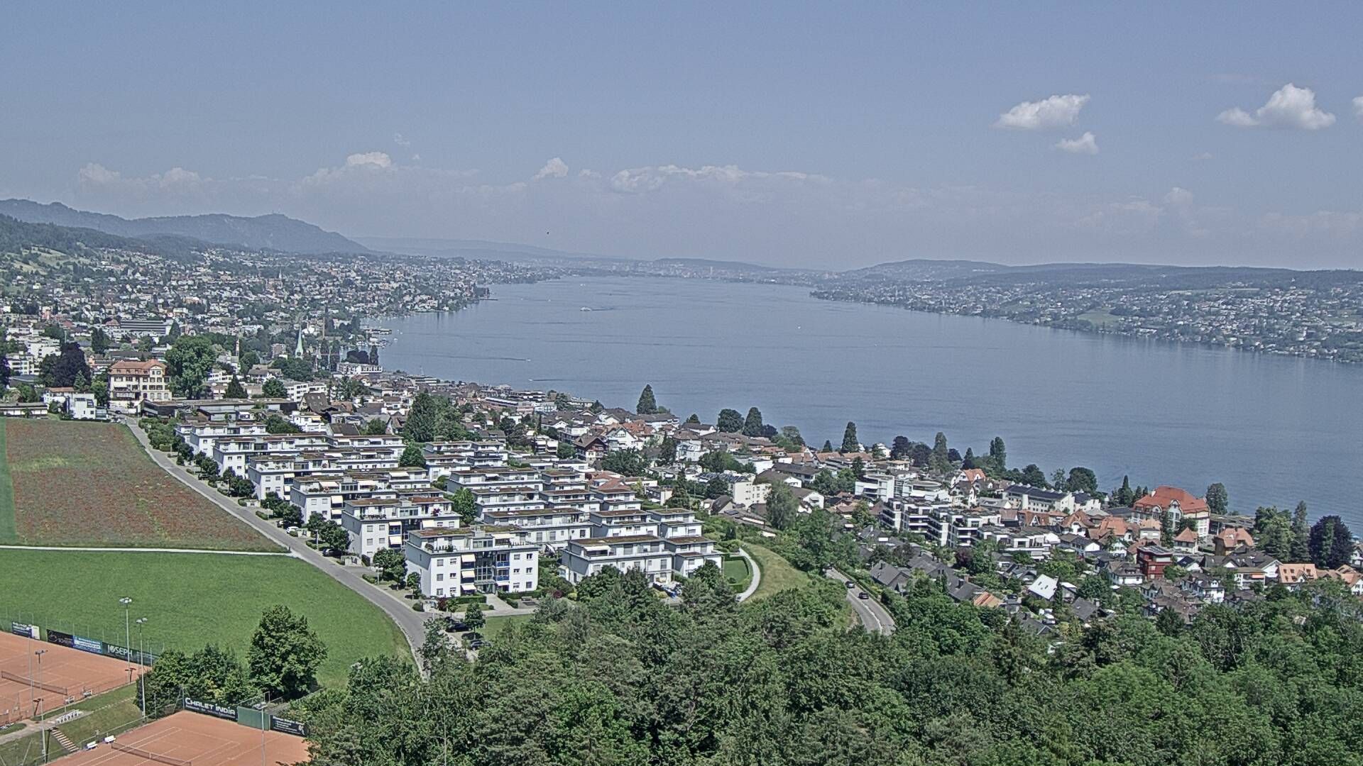 Horgen: Horgen, Reithy