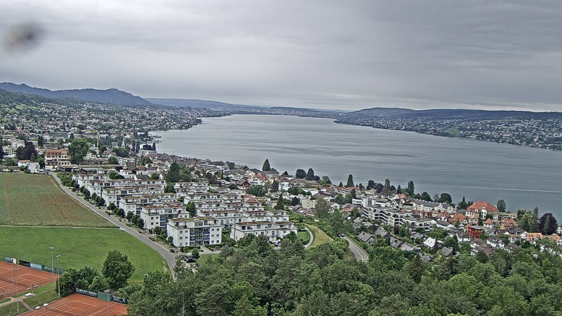Horgen: Horgen, Reithy