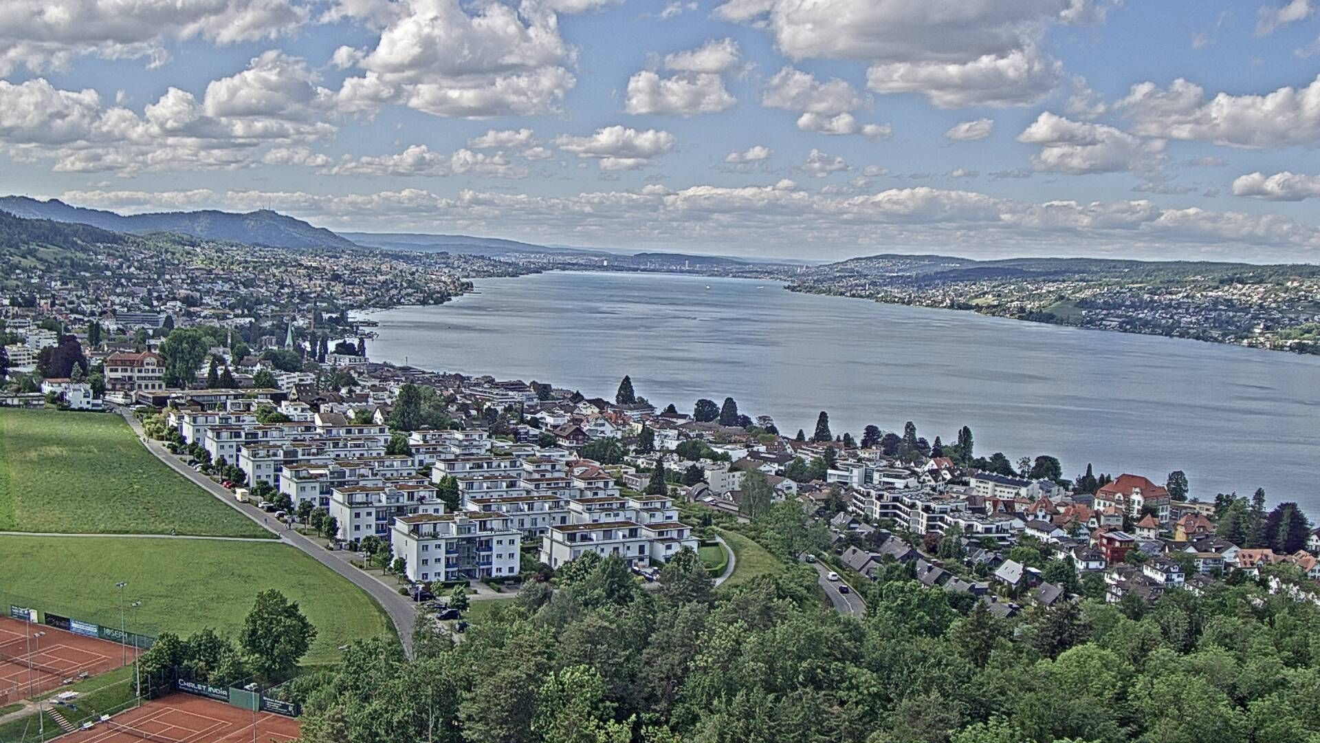 Horgen: Horgen, Reithy