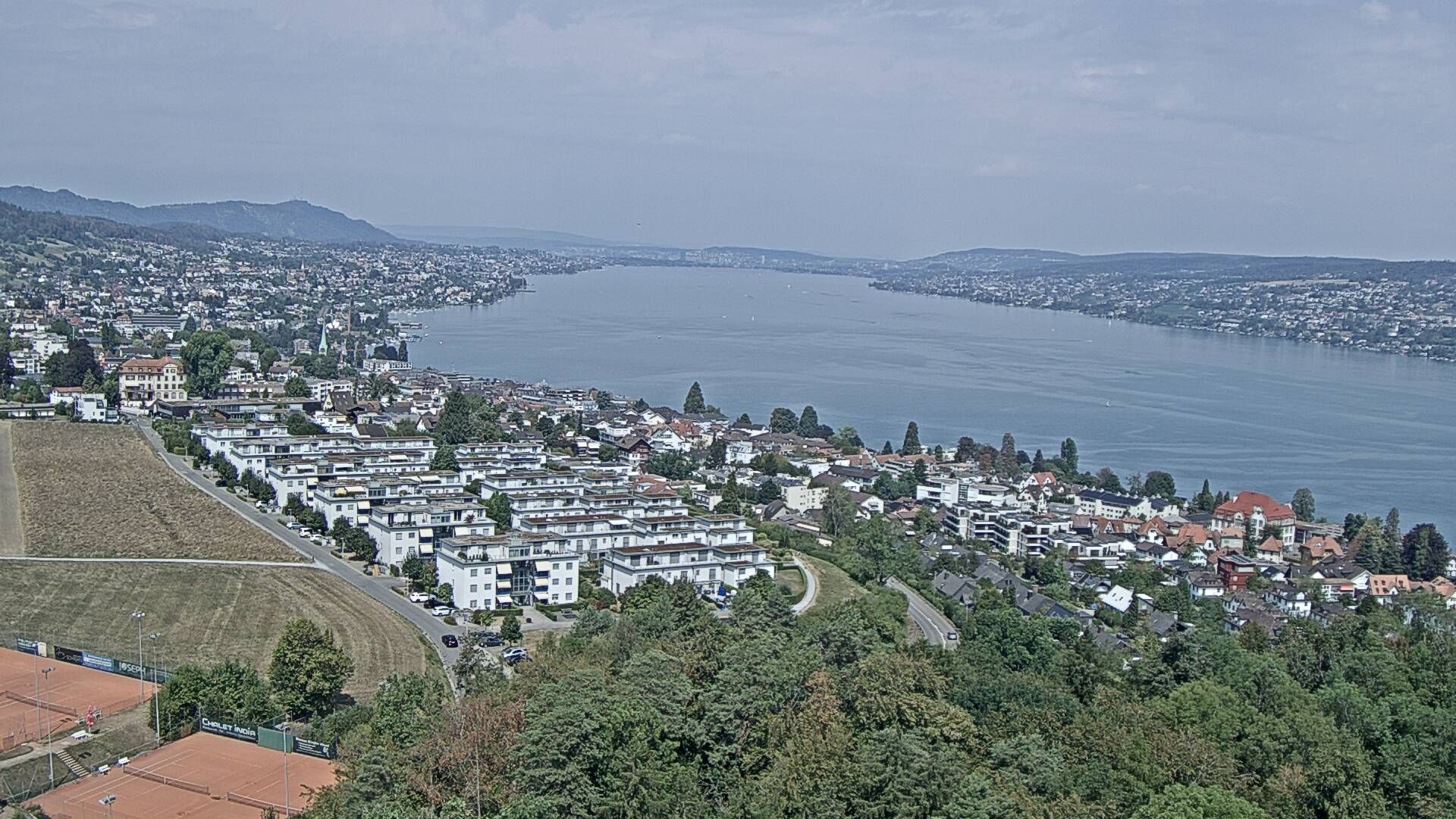 Horgen: Horgen, Reithy
