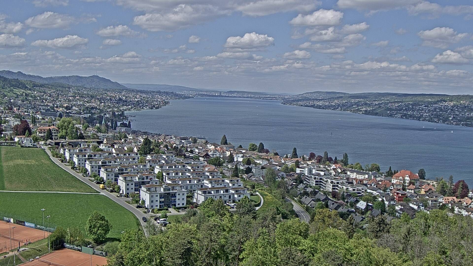 Horgen: Horgen, Reithy