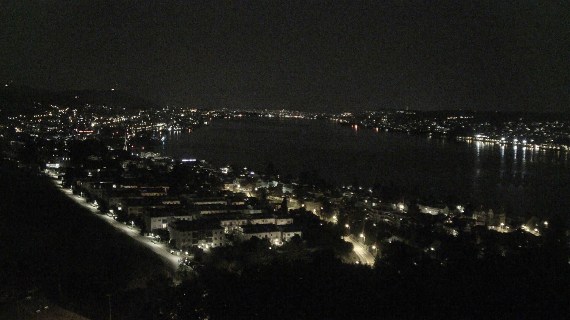 Horgen: Horgen, Reithy