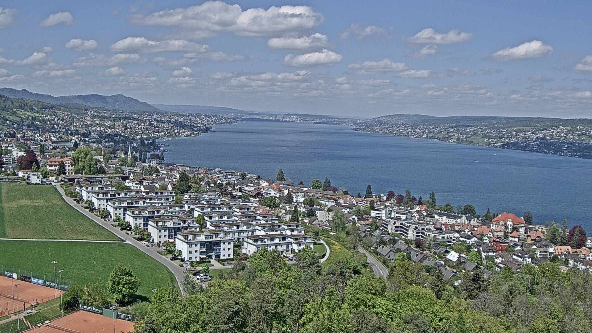 Horgen: Horgen, Reithy