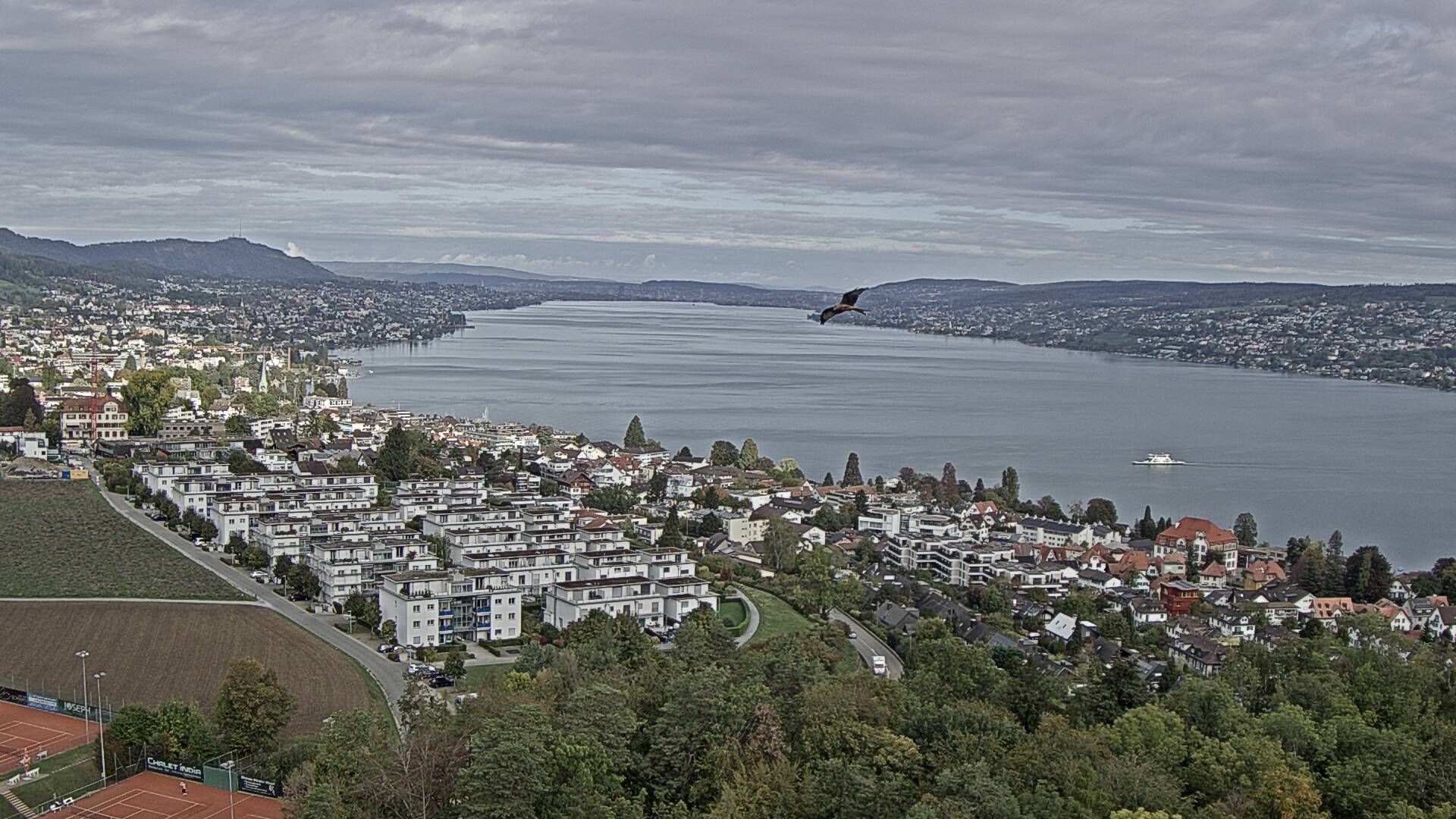 Horgen: Horgen, Reithy