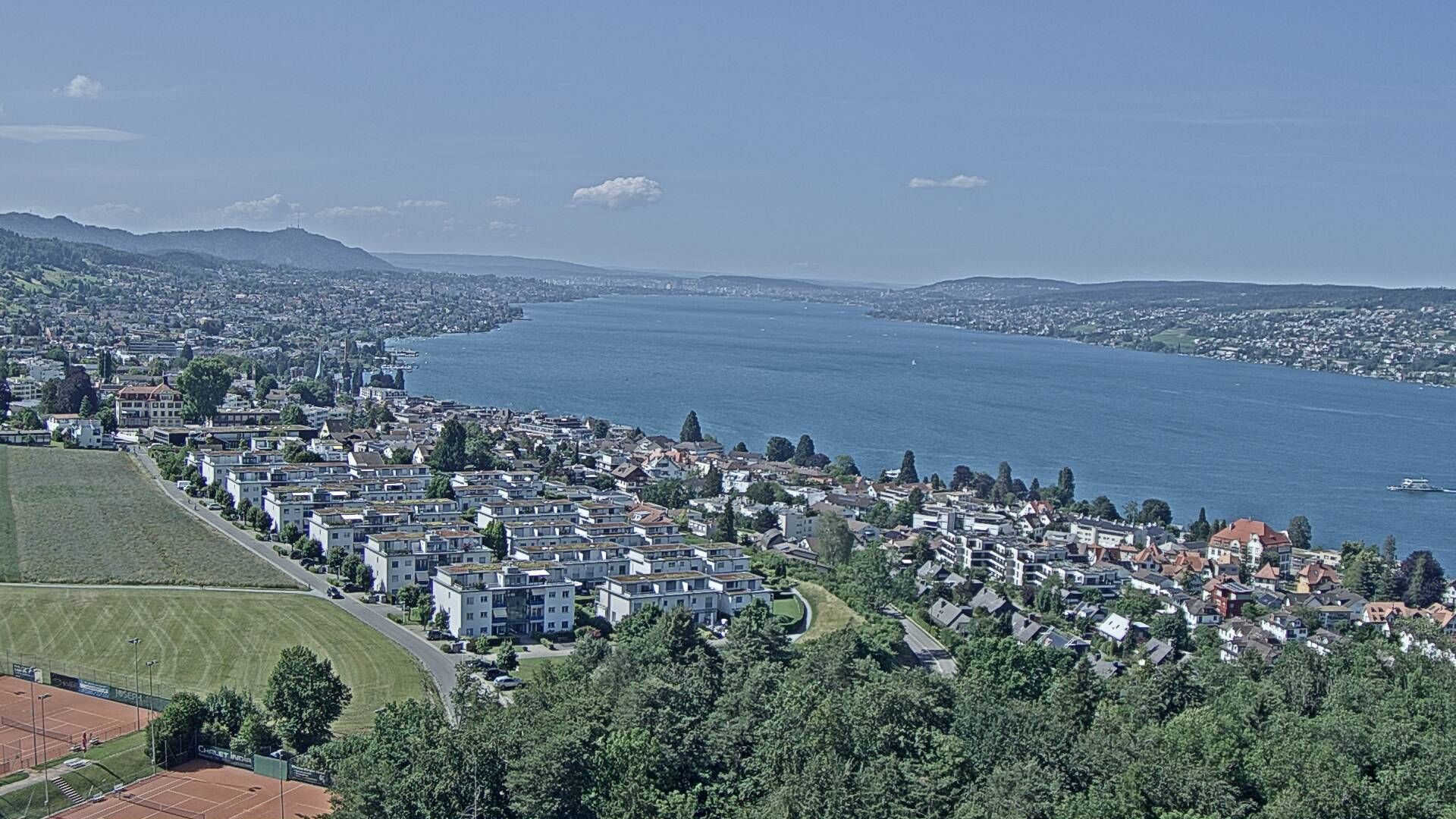 Horgen: Horgen, Reithy