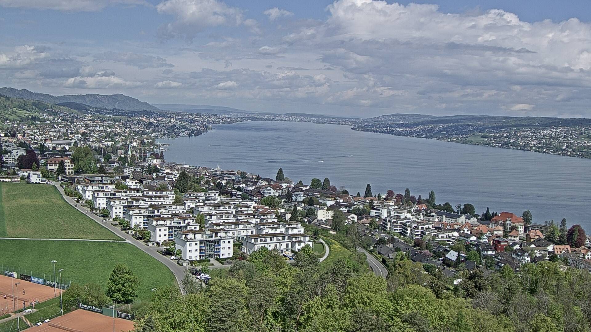 Horgen: Horgen, Reithy