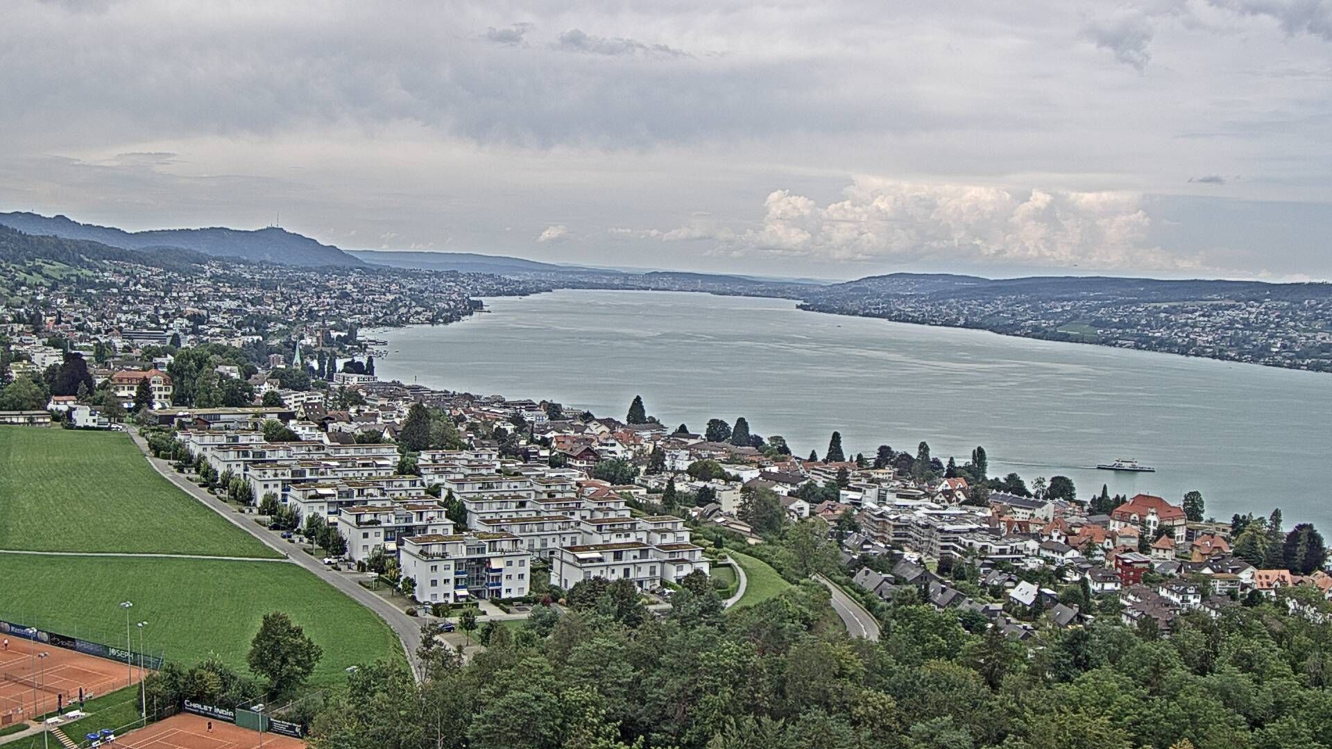 Horgen: Horgen, Reithy