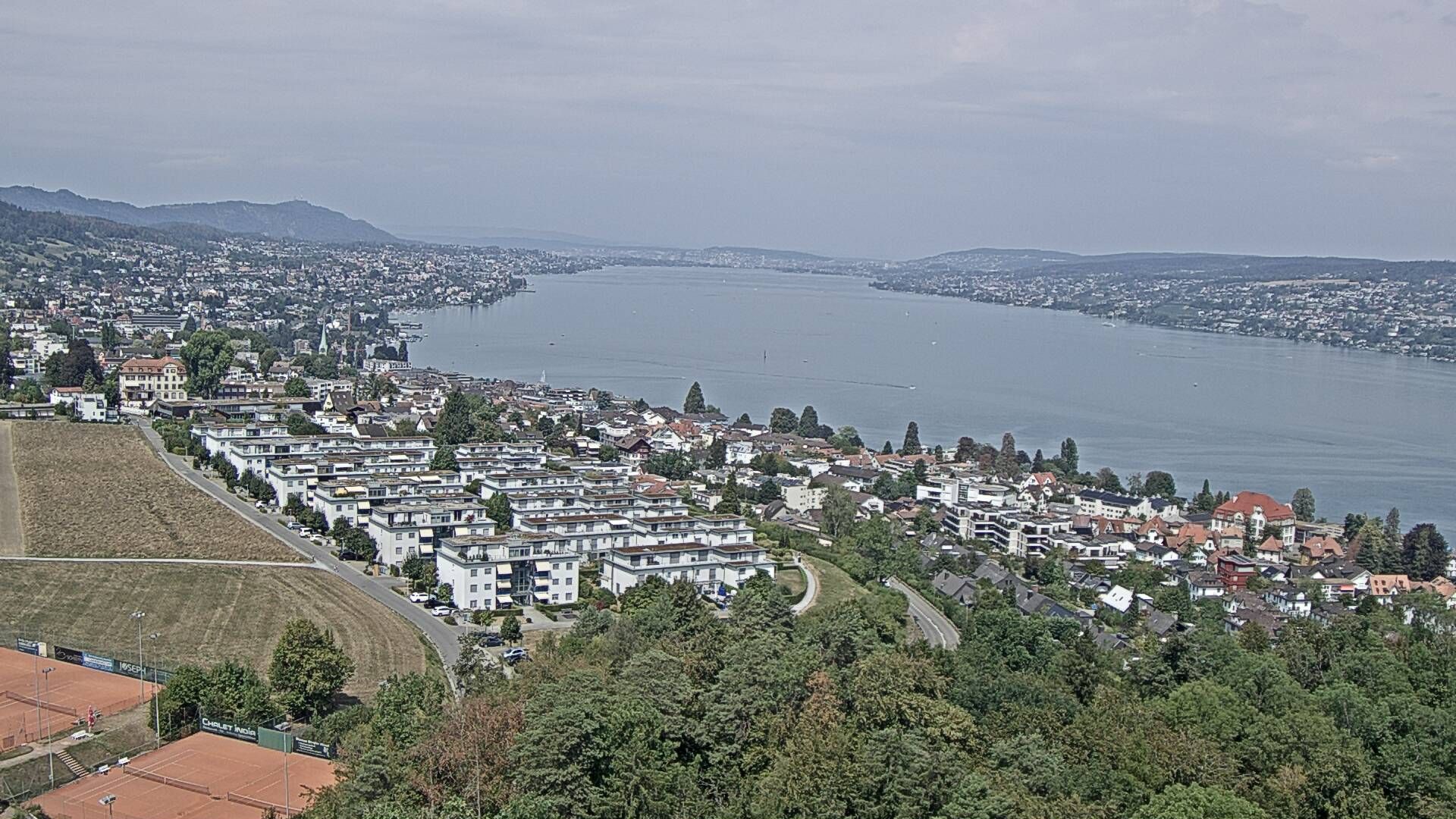 Horgen: Horgen, Reithy