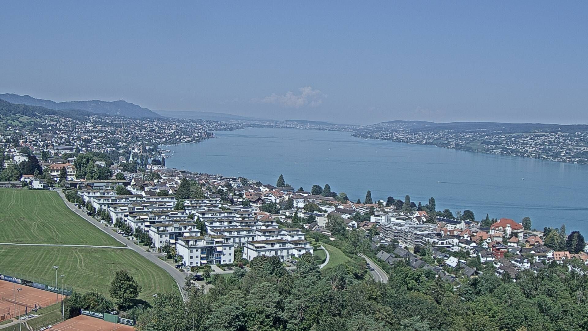 Horgen: Horgen, Reithy