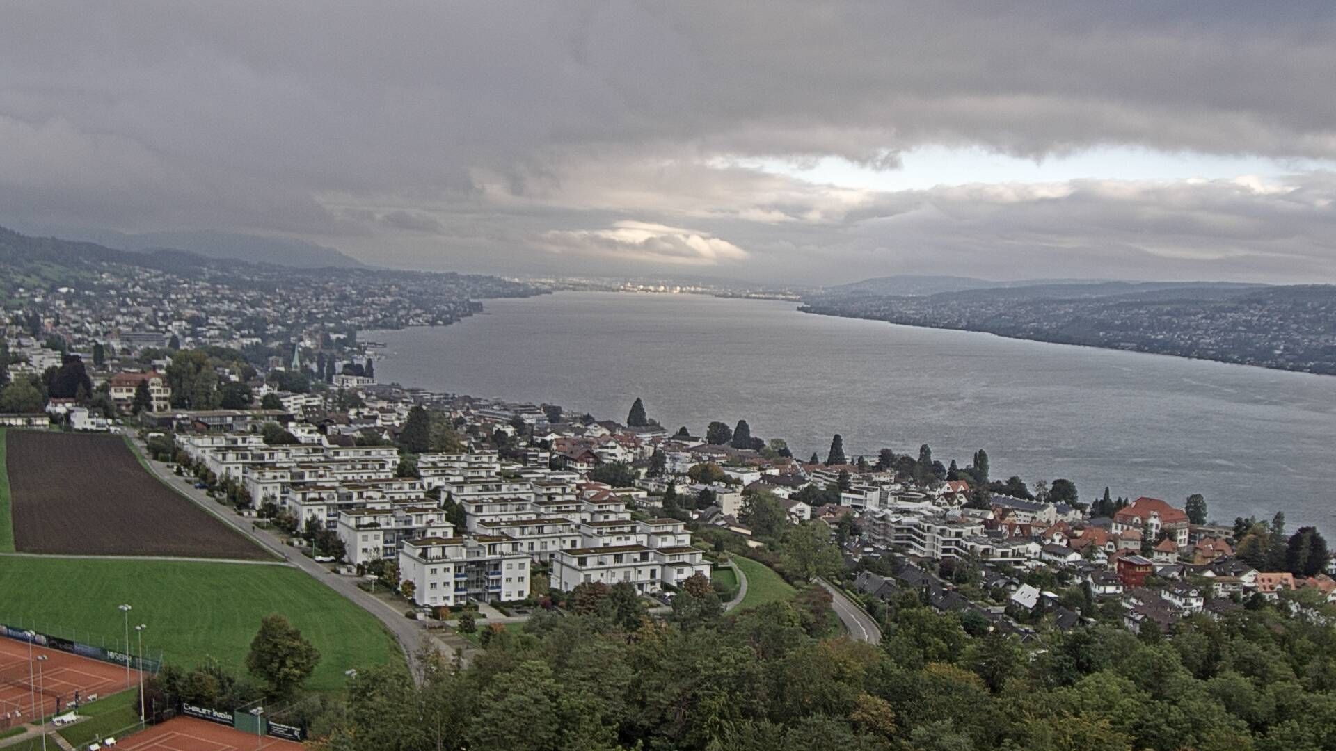 Horgen: Horgen, Reithy