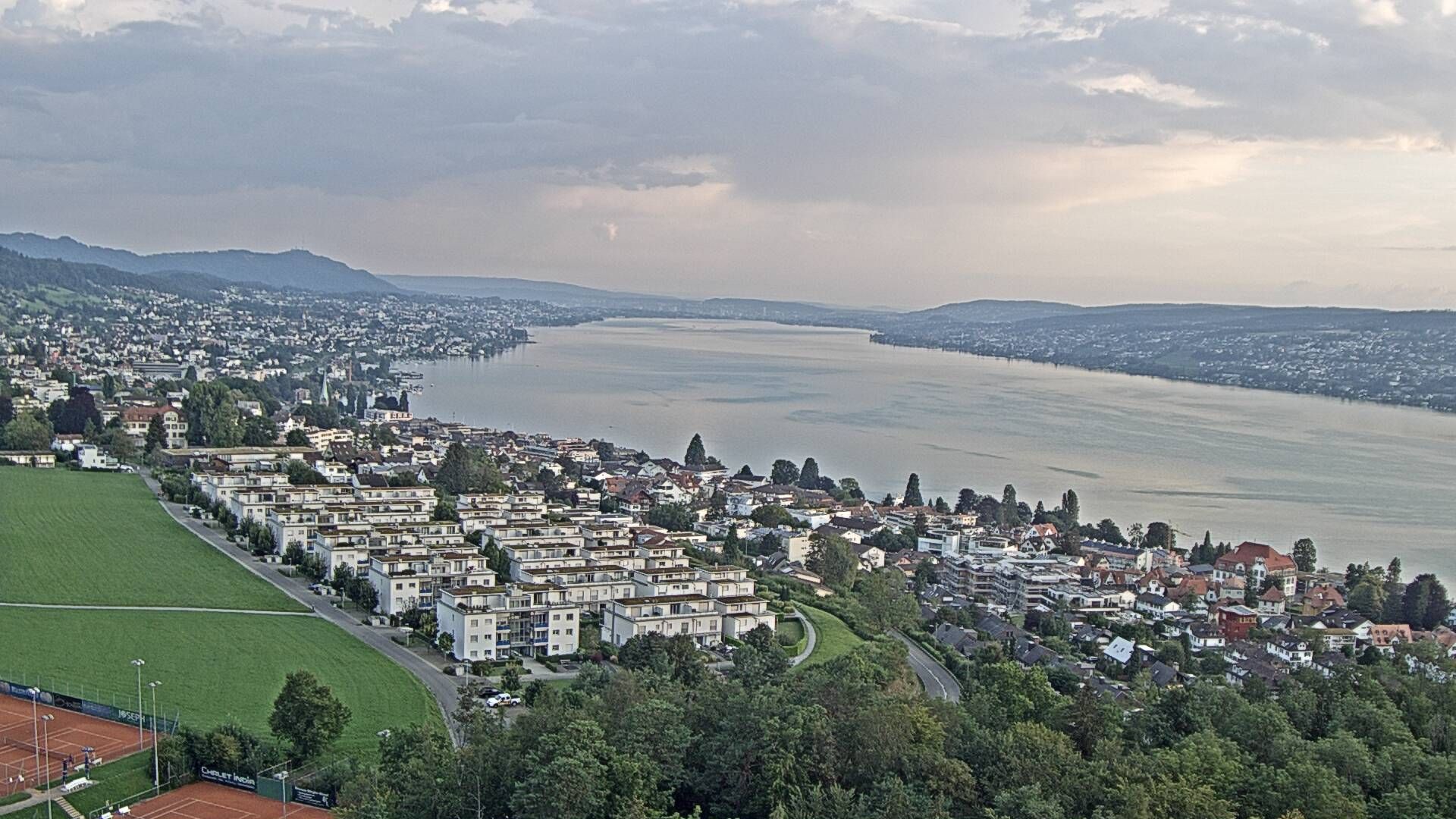 Horgen: Horgen, Reithy