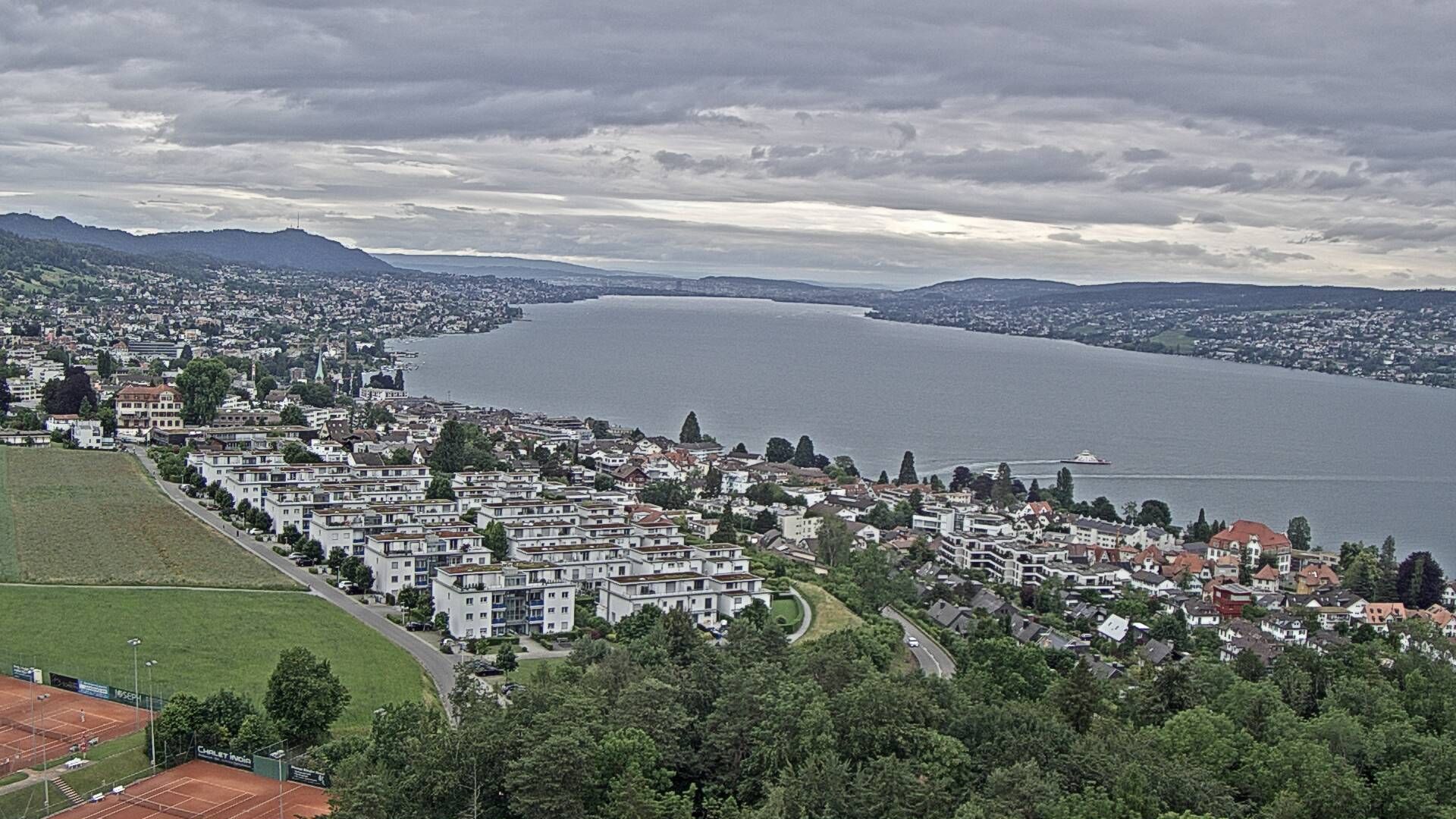 Horgen: Horgen, Reithy