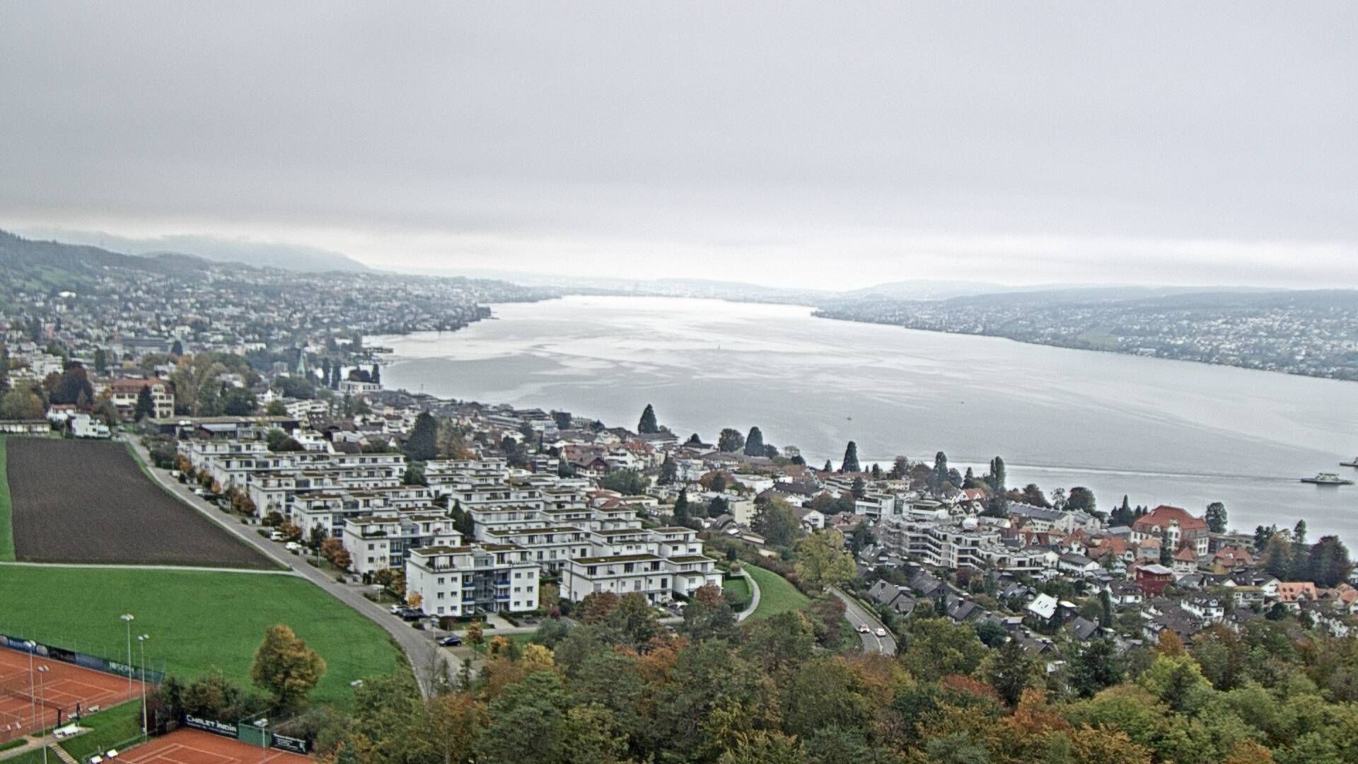 Horgen: Horgen, Reithy