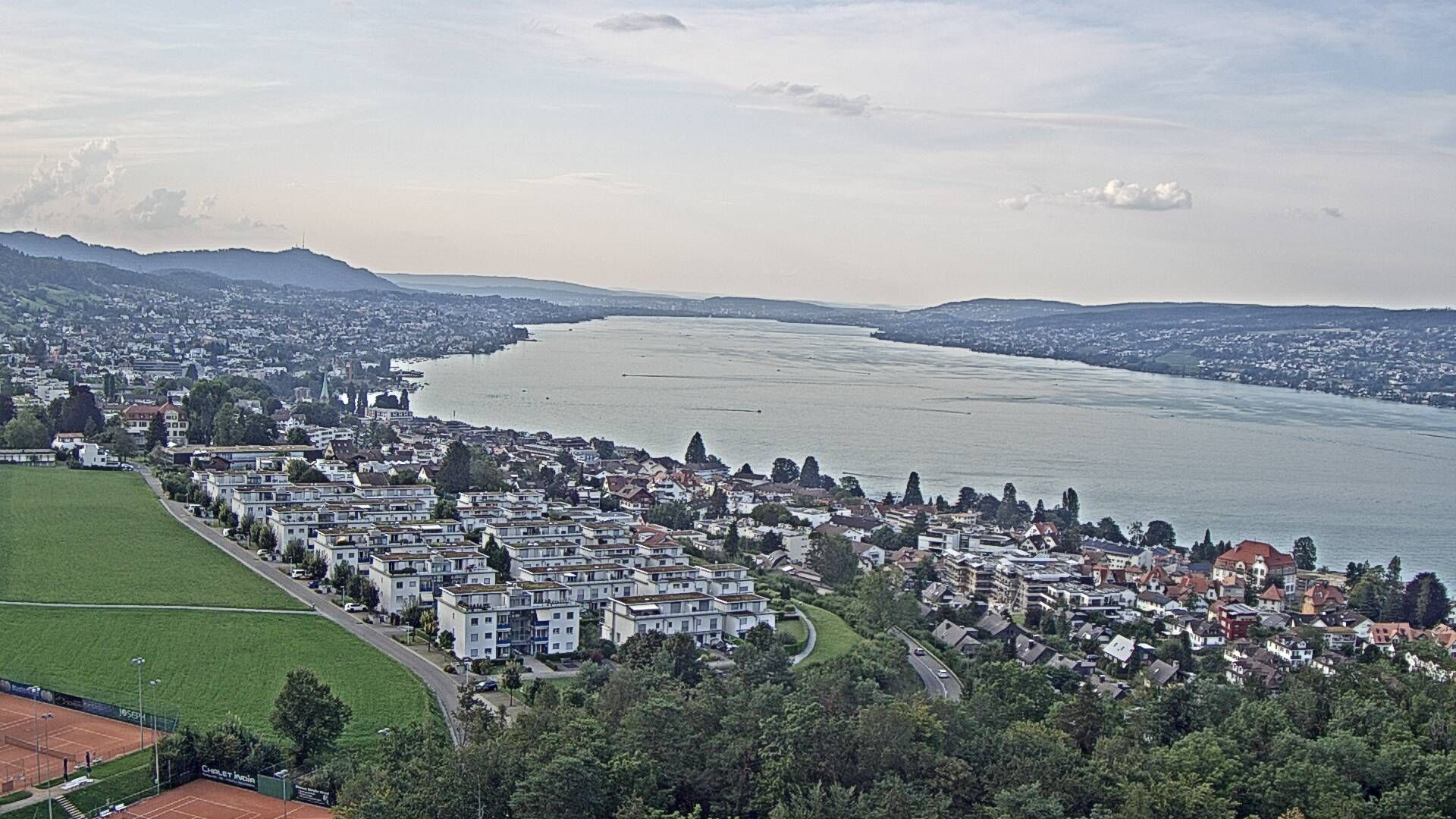 Horgen: Horgen, Reithy