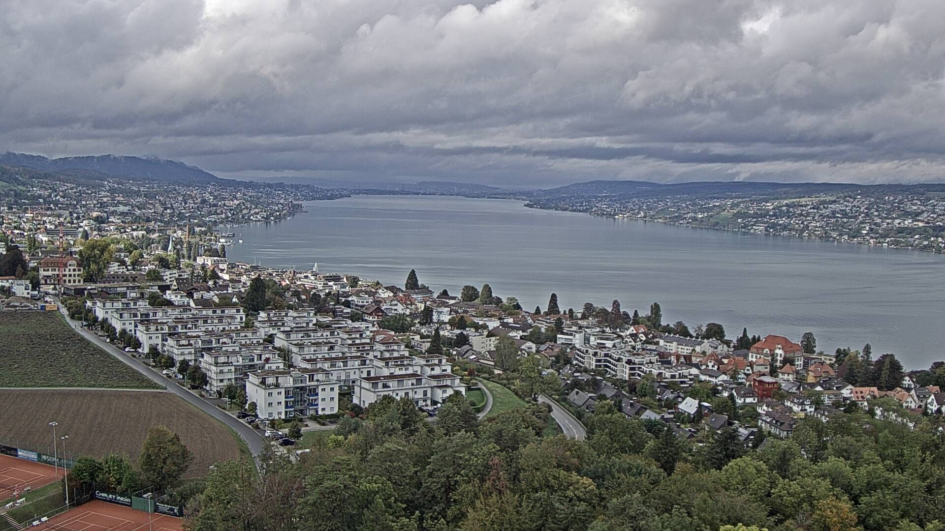 Horgen: Horgen, Reithy