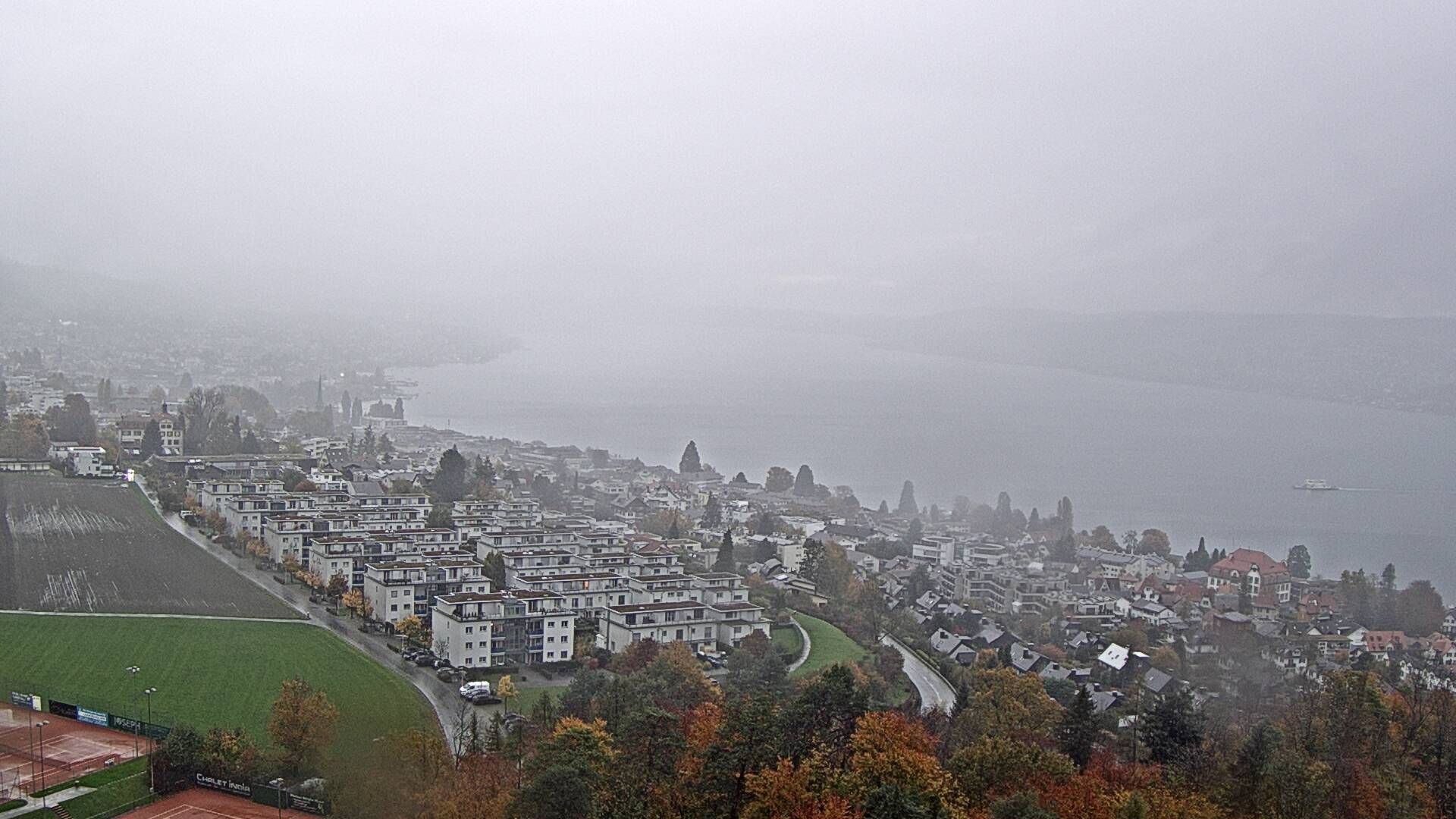 Horgen: Horgen, Reithy