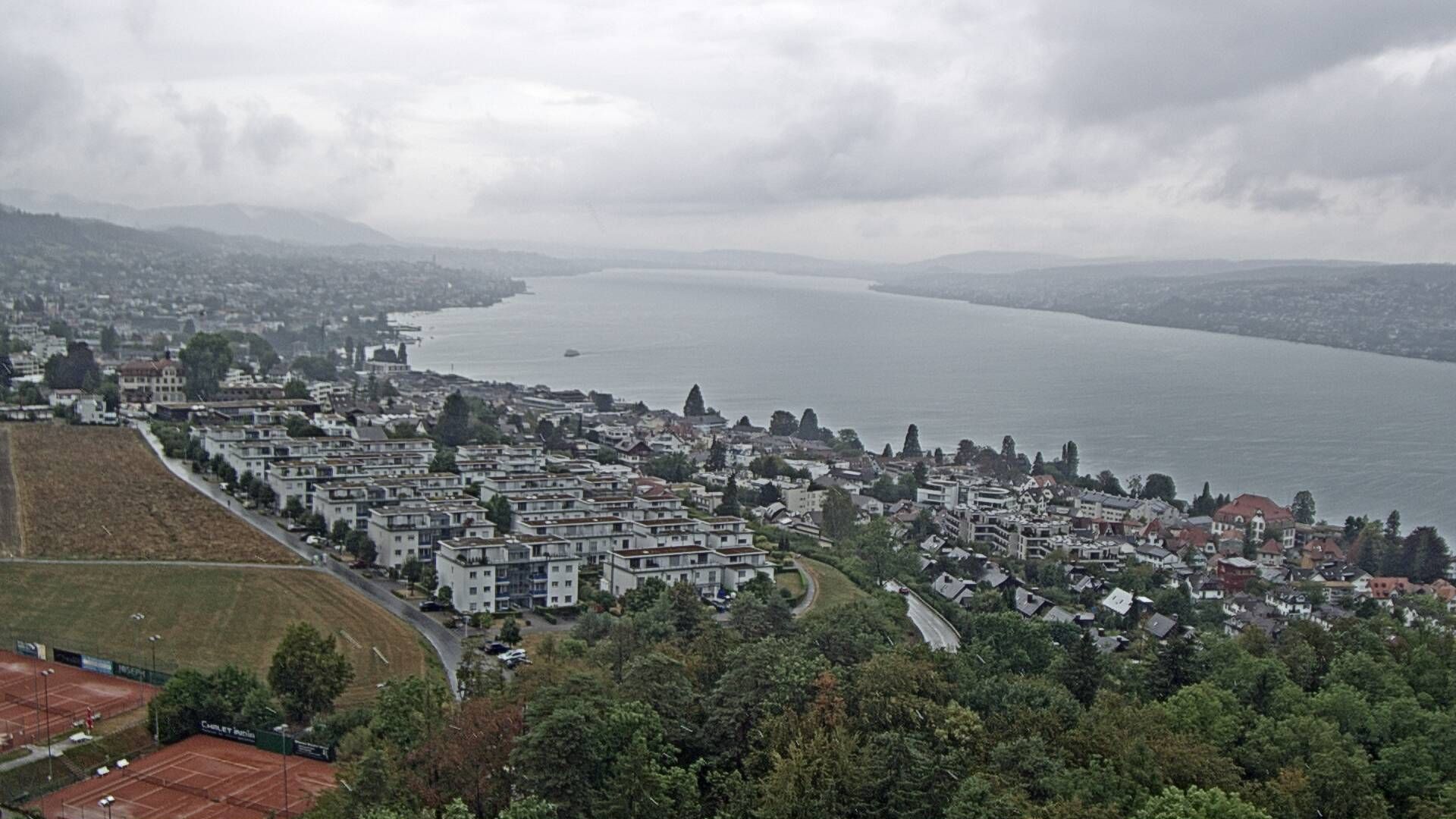 Horgen: Horgen, Reithy