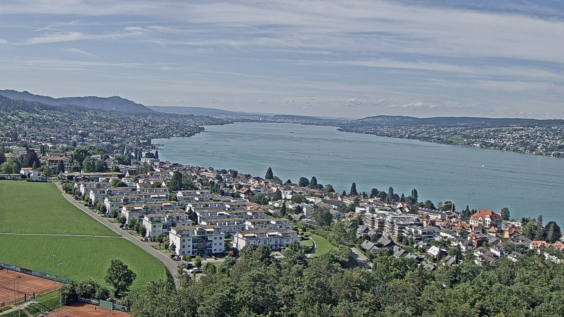 Horgen: Horgen, Reithy