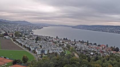 Horgen: Horgen, Reithy