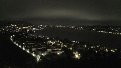 Horgen: Horgen, Reithy
