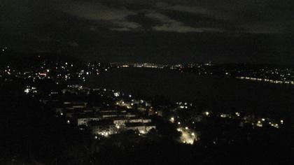 Horgen: Horgen, Reithy