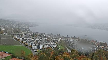 Horgen: Horgen, Reithy