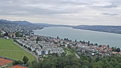 Horgen: Horgen, Reithy