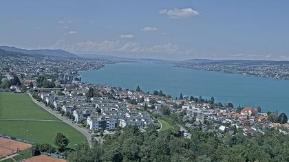 Horgen: Horgen, Reithy