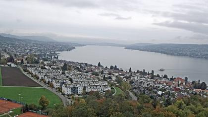 Horgen: Horgen, Reithy