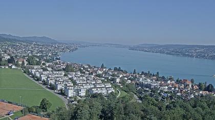 Horgen: Horgen, Reithy