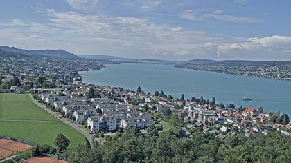 Horgen: Horgen, Reithy