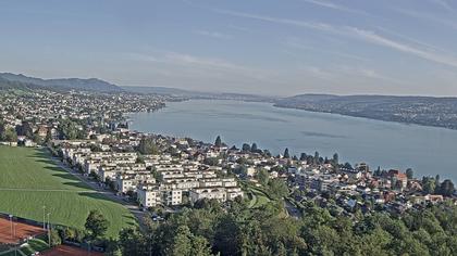 Horgen: Horgen, Reithy