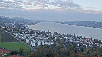 Horgen: Horgen, Reithy