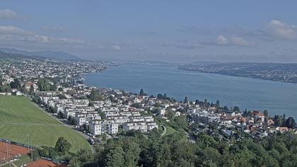 Horgen: Horgen, Reithy