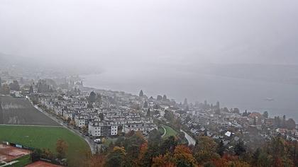 Horgen: Horgen, Reithy