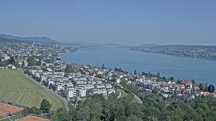 Horgen: Horgen, Reithy