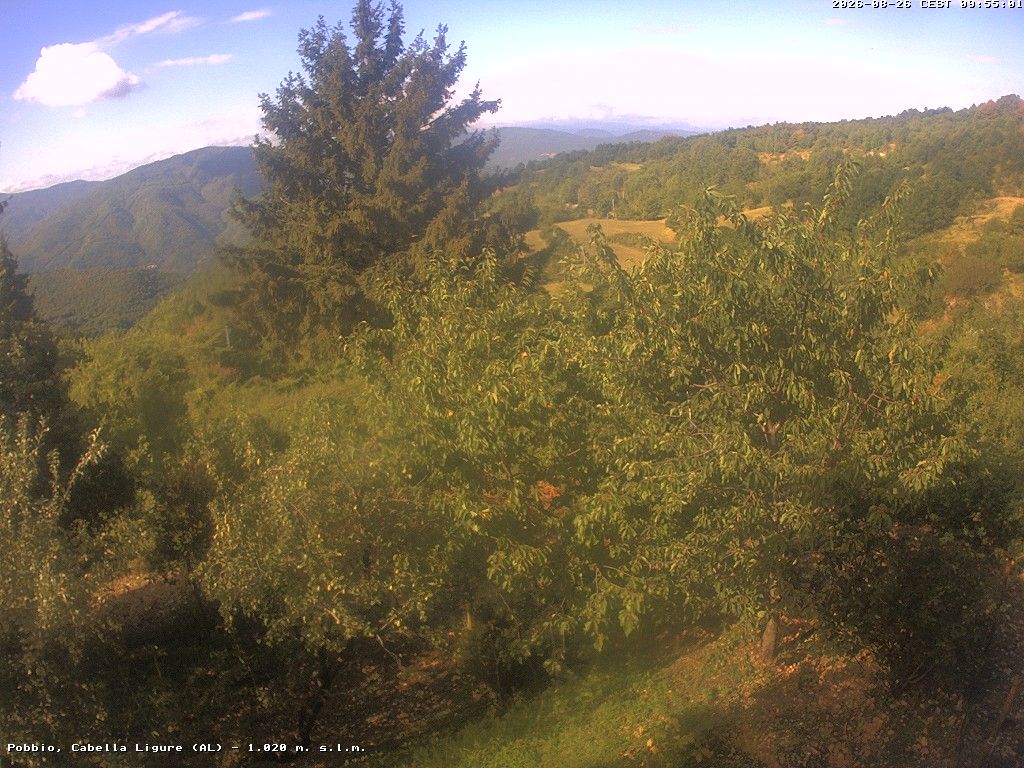 Traffic Cam Cabella Ligure › West