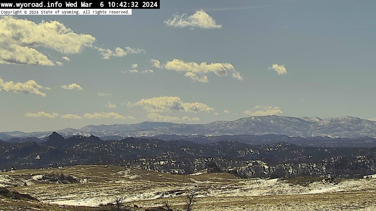 Traffic Cam Hermosa: Pumpkin Vine