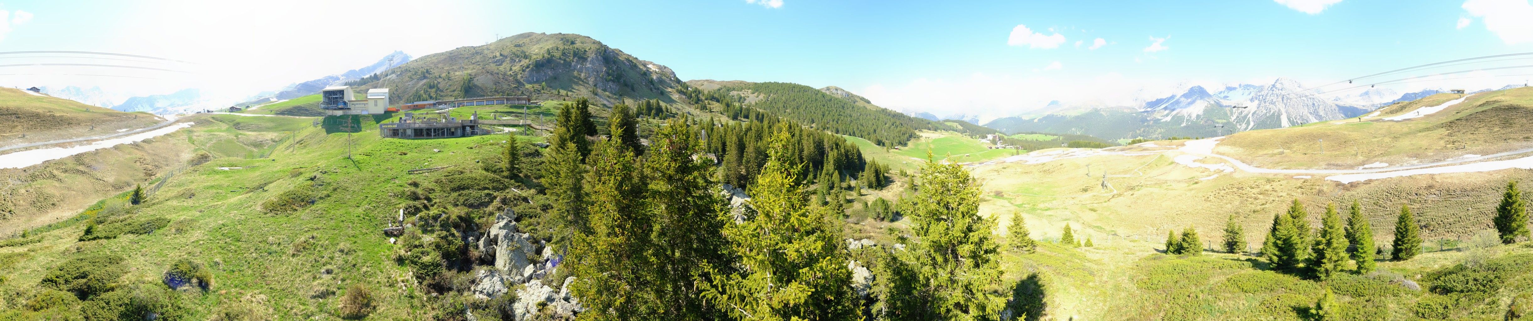 Arosa: Stiftung - Bären